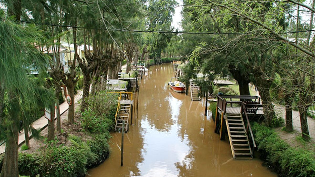 To reconnect with peace and nature: what are the best forests near Buenos Aires that are forced visiting in a getaway