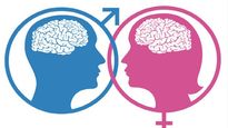 Determinan diferencias en el cerebro, según los países.&nbsp;