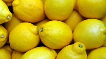 importante precedente: empresa limonera debio pagar u$s1 millon como seguro para volver a exportar