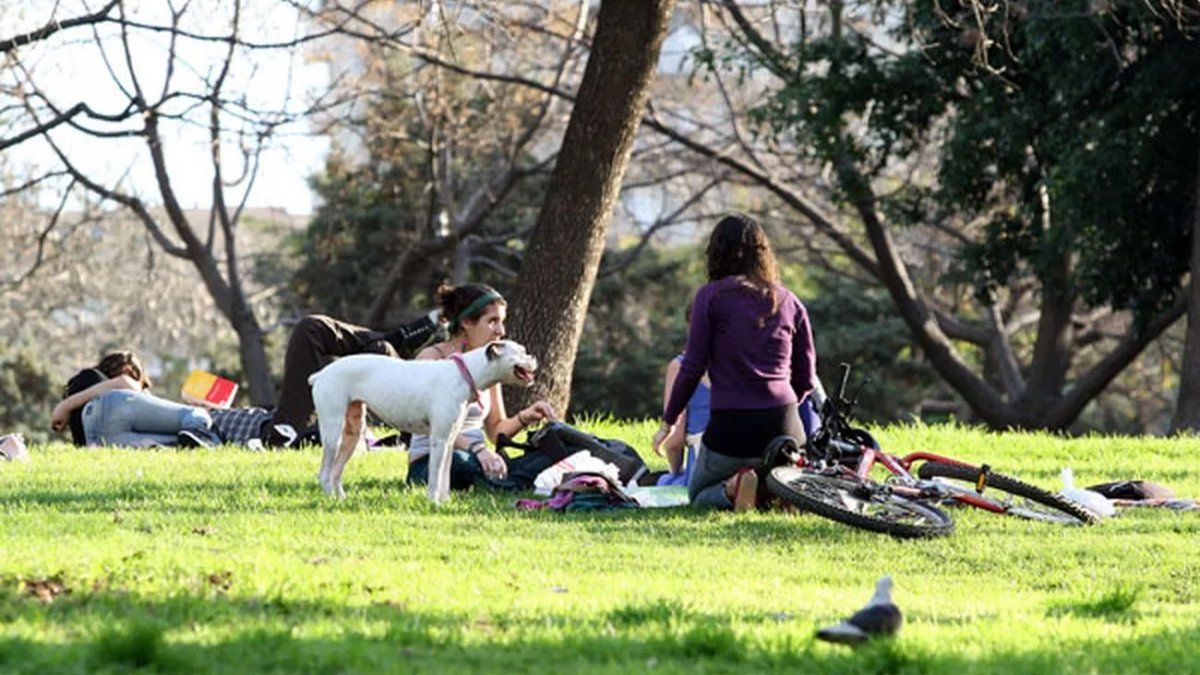 A week with spring weather and no rain begins in the City and surrounding areas