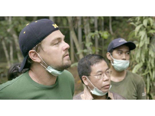 El cambio climático según Di Caprio