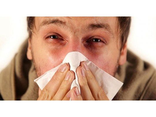 Cómo combatir las alergias estacionales