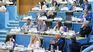 La Legislatura de Río Negro, durante el debate por Ficha Limpia.