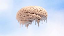 El cerebro es una de las partes del cuerpo que se descompone más rápido tras la muerte.&nbsp;