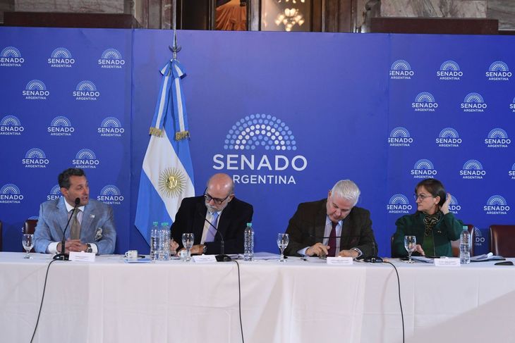 Los distintos proyectos sobre biocombustibles ya se discuten en el Senado. Los distintos proyectos sobre biocombustibles ya se discuten en el Senado.