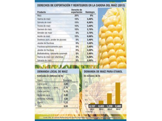 Diversificación, una clave para salvar al maíz