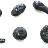 El estudio de estas piezas continuará bajo la supervisión de especialistas, quienes buscan determinar si este evento está relacionado con otras anomalías geológicas detectadas previamente en el sur de América Latina. El estudio de estas piezas continuará bajo la supervisión de especialistas, quienes buscan determinar si este evento está relacionado con otras anomalías geológicas detectadas previamente en el sur de América Latina.