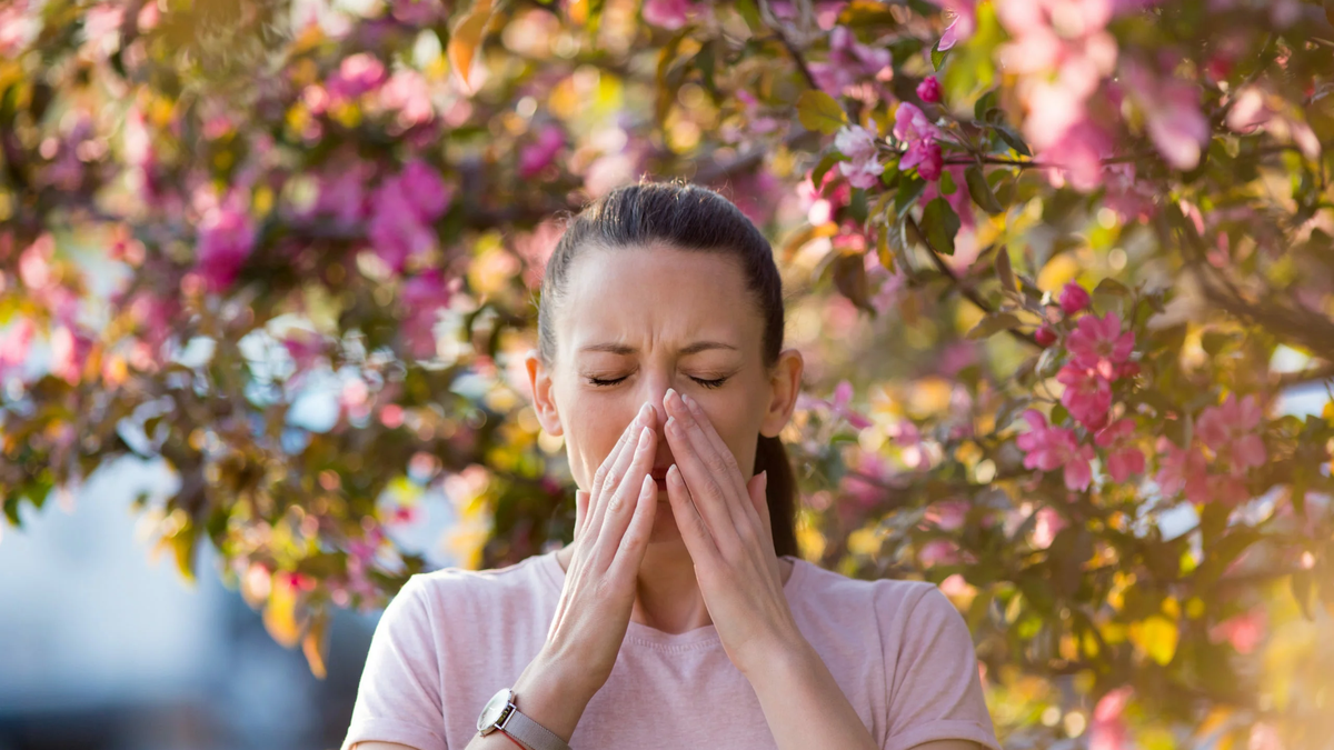 Spring arrives and this food can help control your seasonal allergies