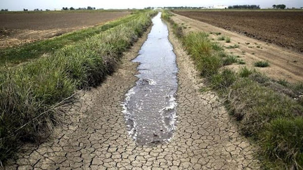 Entre Ríos registra una sequía récord que afecta fuertemente a su ganadería y agricultura