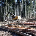 La neozelandesa Claymark invertirá más de 100 millones de dólares en Uruguay. La neozelandesa Claymark invertirá más de 100 millones de dólares en Uruguay.