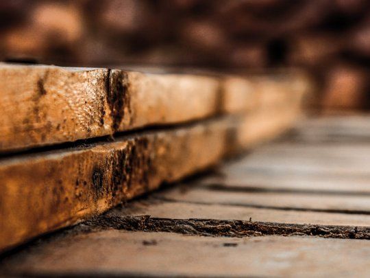 La industria forestal enfrenta una de las peores crisis de los últimos 50 años.