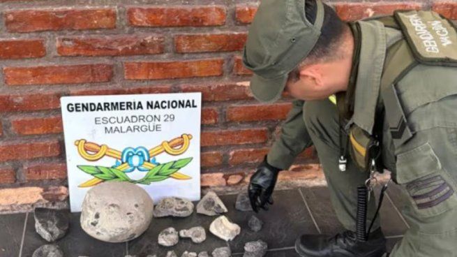 La Gendarmería encontró estos fósiles en un operativo.