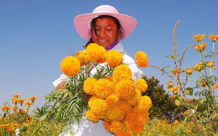 El origen de regalar flores amarillas el 21 de marzo El origen de regalar flores amarillas el 21 de marzo