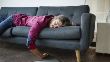 siestas cortas o largas: ¿cuanto recomiendan dormir los cientificos?