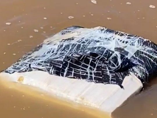 pan de marihuana (1).jpg