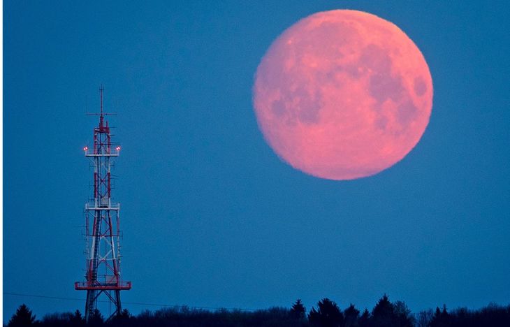 Este martes tendrá lugar la Luna rosa de abril 2024. Este martes tendrá lugar la Luna rosa de abril 2024.