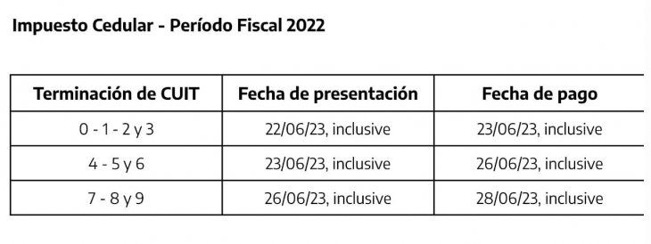 AFIP Pospuso La Presentación De Declaraciones Juradas Y Pago Ganancias ...