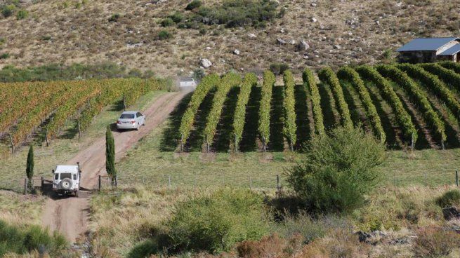 La Provincia tiene propuestas sorprendentes que incluyen castillos, museos, centros culturales, deportivos e industriales, y actividades recreativas.