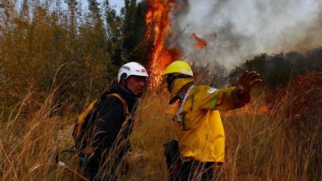 Incendios forestales.