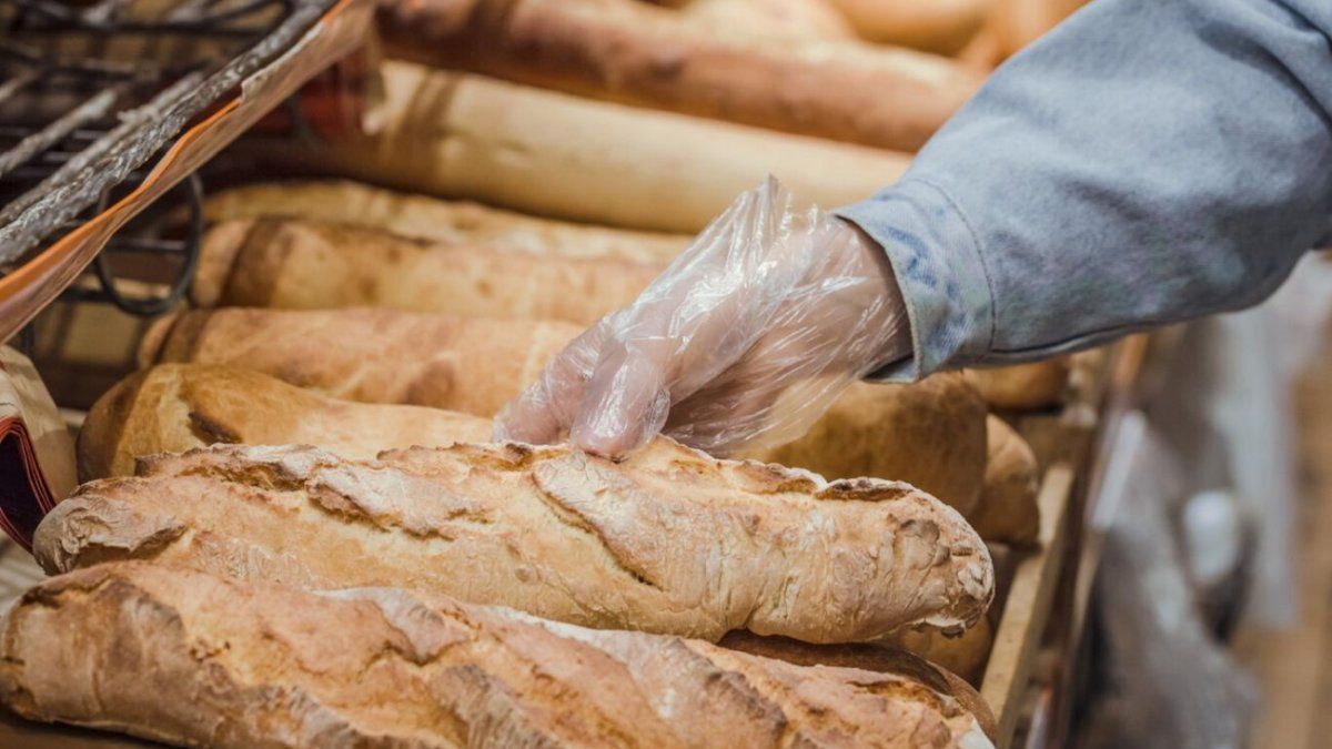 They authorize an increase in the reference price of wheat: does bread increase?