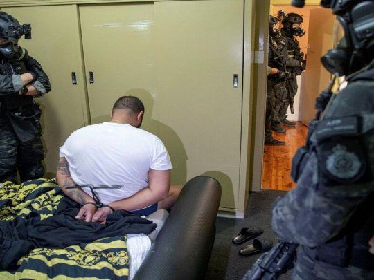 Se incautaron 8 toneladas de cocaína y más de u$s 48 millones.