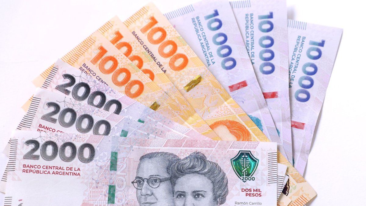 Debt in pesos: after the tender, the Ministry of the Economy orders the issuance of six Lecaps and three Boncers