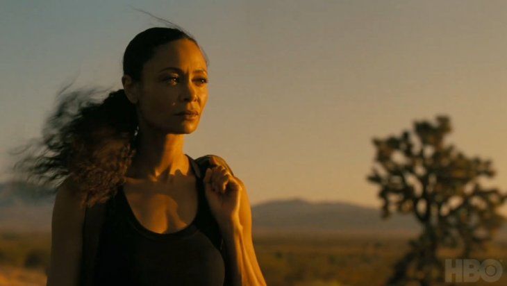 HBO canceled Westworld and left the series without ending