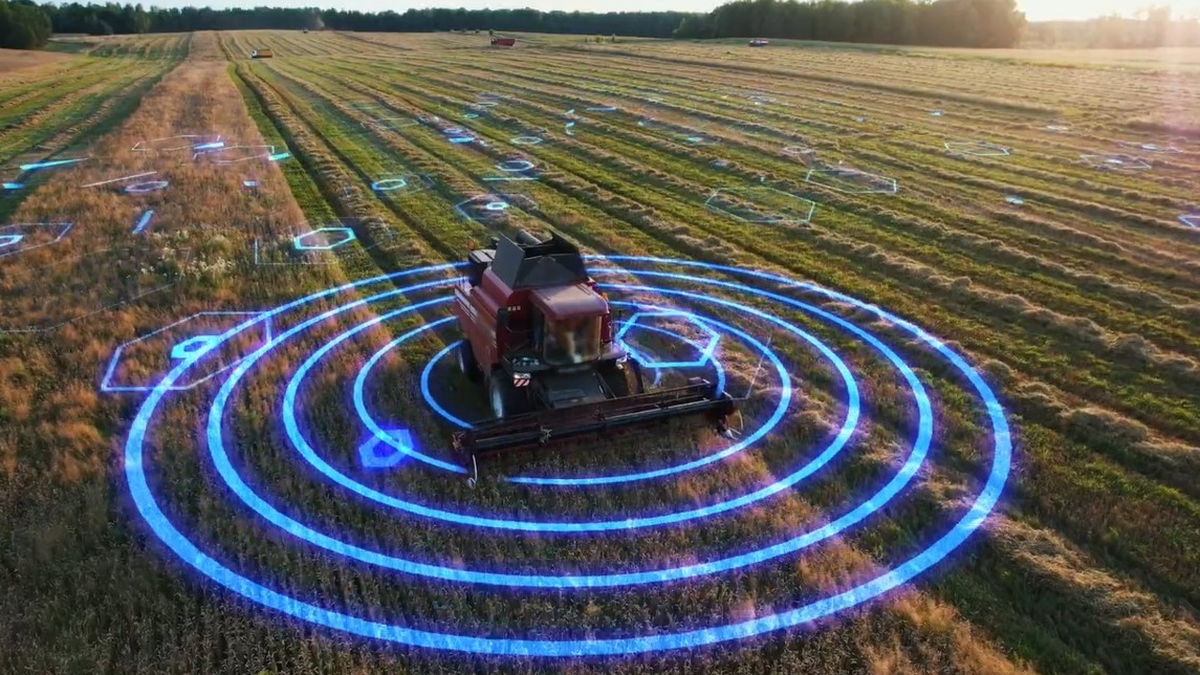 The power of AI in agriculture: a new era of climate precision