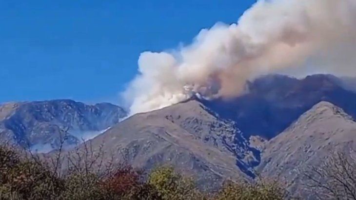 Cuentan con 14 unidades móviles ligeras, cinco aviones y dos helicópteros.