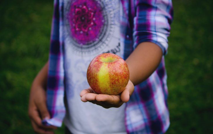 Diez ideas prácticas para un día del niño saludable