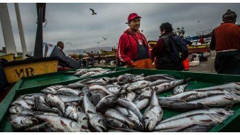 Para contribuir a la conservación y racional explotación de la especie merluza mediante el establecimiento de áreas de veda que protejan las concentraciones de juveniles de dicha especie en la Zona Común de Pesca.
