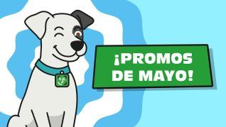 Cuenta DNI actualizó sus beneficios y en mayo 2026 vuelve la promoción de 3 cuotas sin interés. Cuenta DNI actualizó sus beneficios y en mayo 2026 vuelve la promoción de 3 cuotas sin interés.