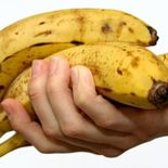 El truco en tendencia para que las bananas duren dos semanas sin madurar. El truco en tendencia para que las bananas duren dos semanas sin madurar.