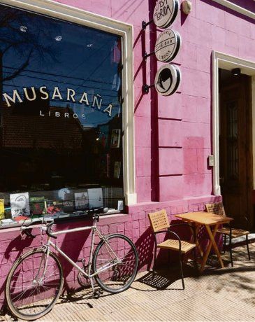 Musaraña