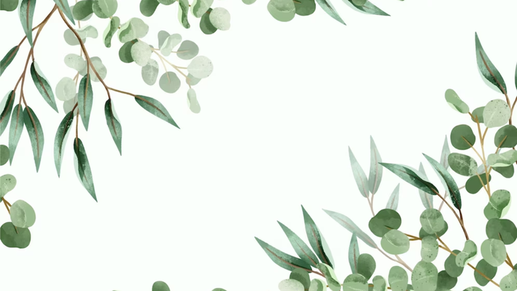 Feng Shui: dónde colocar el eucalipto en el hogar para atraer la abundancia Feng Shui: dónde colocar el eucalipto en el hogar para atraer la abundancia