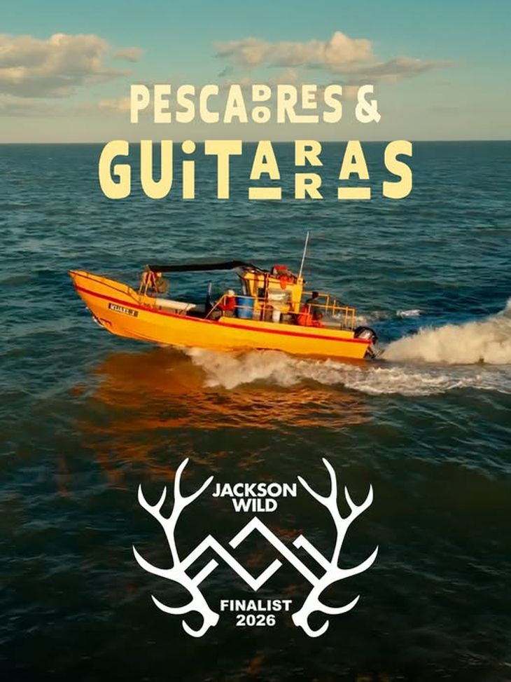 La producción de Jumara Films fue seleccionada en la categoría Branded Content por su trabajo sobre la situación crítica del pez guitarra en las costas bonaerenses. La producción de Jumara Films fue seleccionada en la categoría Branded Content por su trabajo sobre la situación crítica del pez guitarra en las costas bonaerenses.