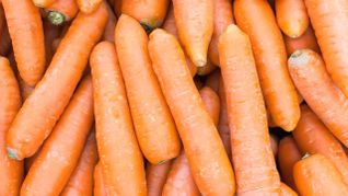 Las zanahorias cuentan con componentes que protegen a los ojos. Las zanahorias cuentan con componentes que protegen a los ojos.