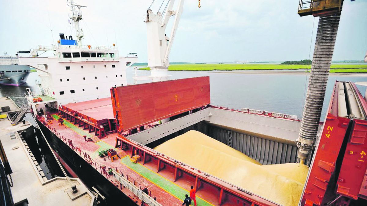 Soybeans do not stop the upward climb in Chicago and exceed 0