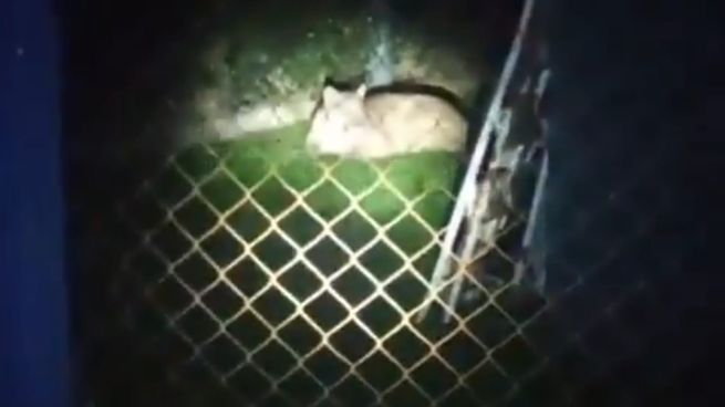 Desde el Municipio de Moreno, informaron que recibieron este lunes una llamada.