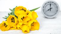 Aunque los festejos se mantienen el 21 de septiembre, el inicio astronómico de la primavera es otro.
