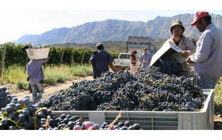 Productores vitivinícolas afirman que impuesto interno se va a trasladar a precios