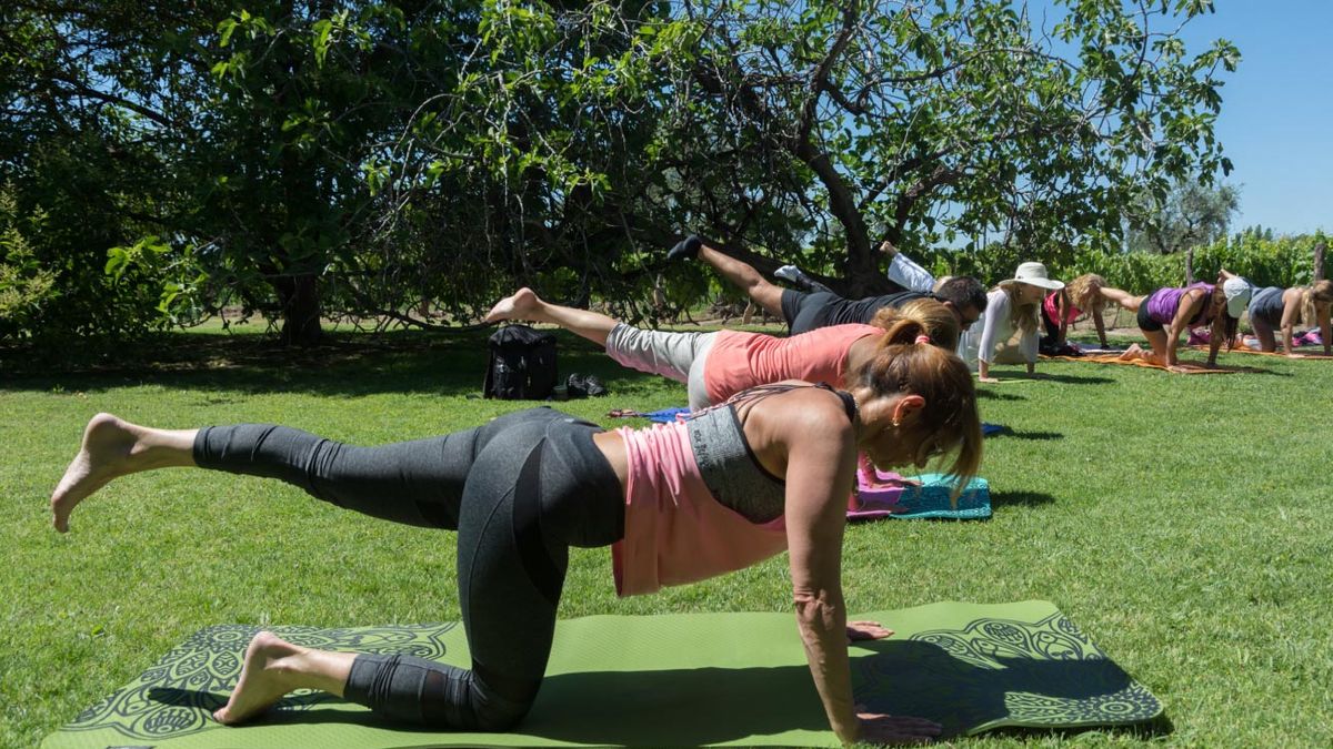 Wine tasting and yoga: the innovative tourism proposal in Mendoza that combines flavor and well-being