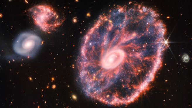 Los cientificos hicieron un descubrimiento increible.
