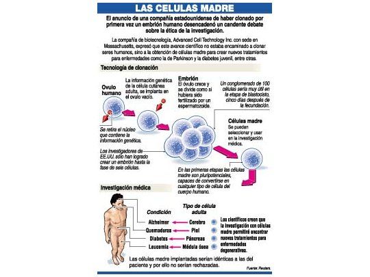 Fuerte rechazo en el mundo a la clonación de humanos