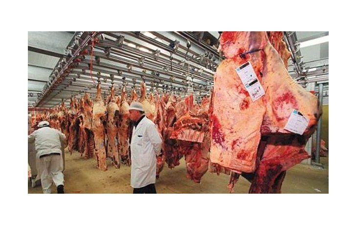 Estimamos que el aumento de la carne puede llegar a ser del 5% para el consumidor, sostuvo Urcia