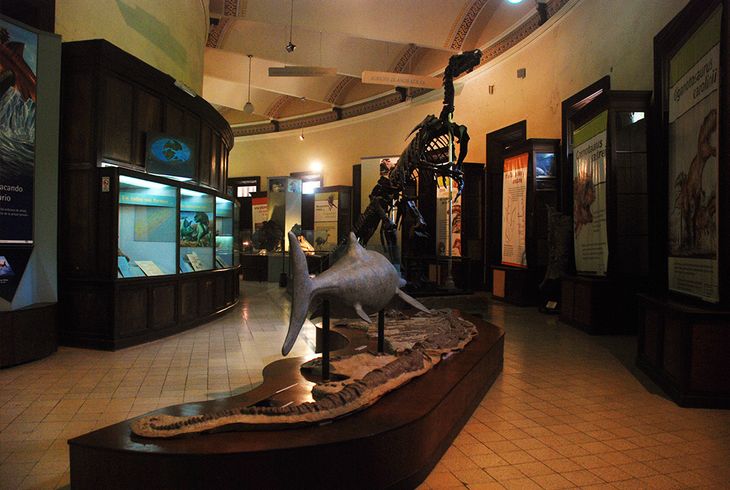 The Museum has several of the most historical pieces in the country. The Museum has several of the most historical pieces in the country.
