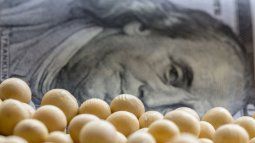soybean dollar: agro-exporters received almost $600,000 million extra in the three editions soybean dollar: agro-exporters received almost $600,000 million extra in the three editions
