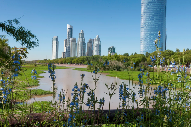 En las 23 hectáreas que quieren ser utilizadas conviven 800 especies y es considerada como un reservorio de biodiversidad.
