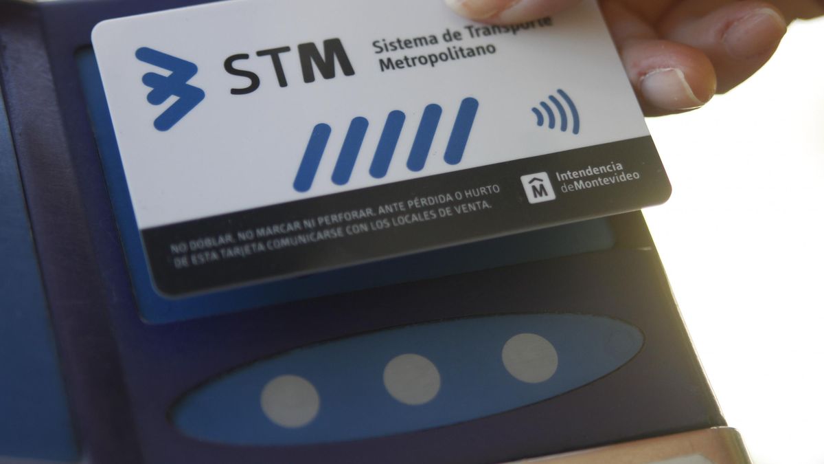 How to access free trips with the STM card?