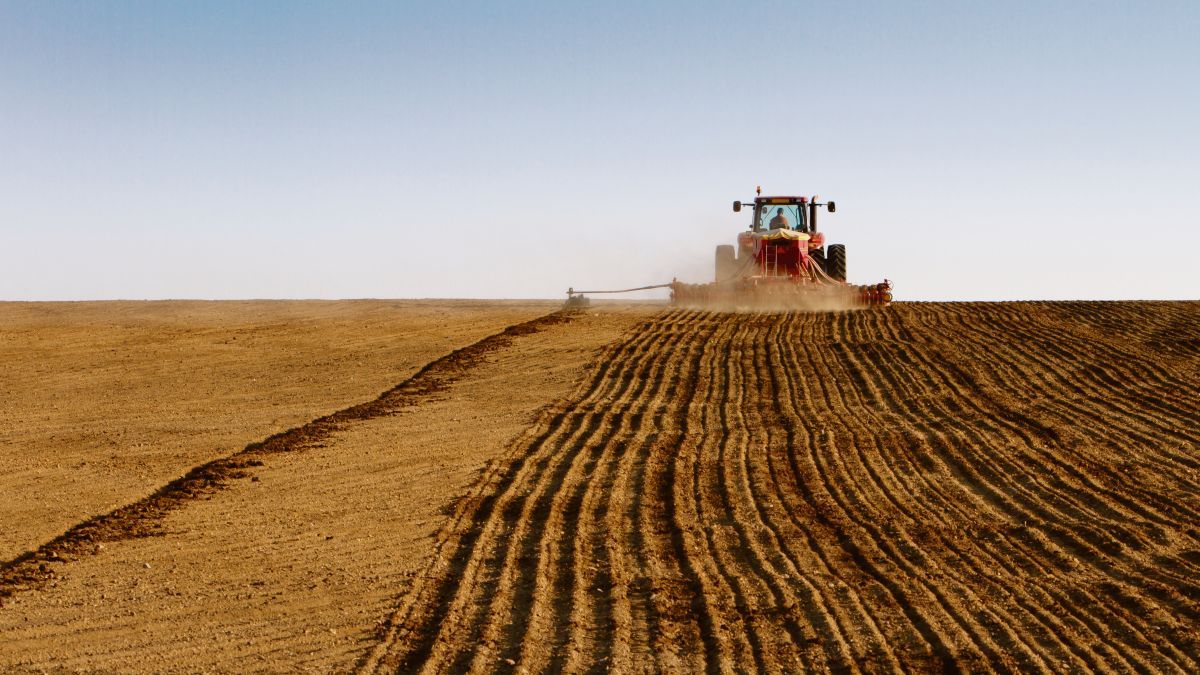More planting setbacks